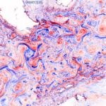 Ocean vorticity